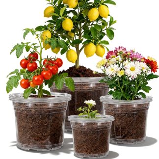 12 Pack 4/6/8/10 Inch Clear Nursery Pots for Plants, Large Size Nursery Pot