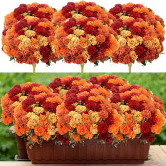 XunYee 24 Pcs Fall Artificial Flowers for Outdoor Faux Mums,Burnt Orange